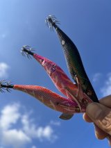 WILD CHASE 3.5号RT(ラトル) モンスターシリーズ発売‼️