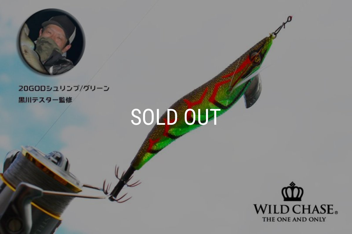 画像1: 2022 WILD CHASE 3.5号 GODシュリンプ/グリーン（#20） [黒川テスター監修] (1)