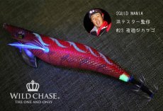 画像2: WAVE HUNTER 3.5号 夜遊びカサゴ（#23） [スクマニ浜テスター監修] (2)