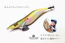 画像1: 2022 WILD CHASE 3.0号 ナチュラルキャンディ（#24） [スクマニ釣りgirl 真衣ちゃん監修] (1)