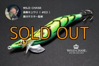 WILD CHASE 3.5号 県南キュウリ ( #03 ) [黒川テスター監修カラー]