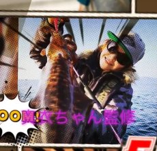 画像2: WILD CHASE 3.5号 セクシーシュリンプ ( #07 ) [真衣ちゃん監修] (2)