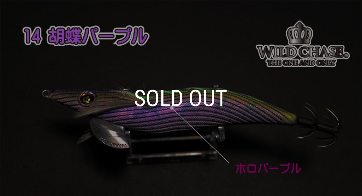 画像3: WILD CHASE 3.5号S/シャローtune（14）胡蝶パープル (3)