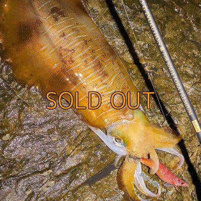 画像10: ZEROエヴォ PREMIUM　龍 708 ”景虎RV”