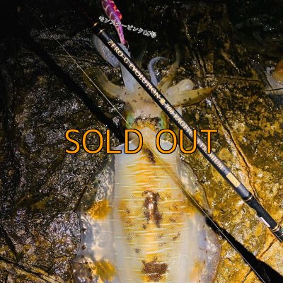 画像9: ZEROエヴォ PREMIUM　龍 708 ”景虎RV”