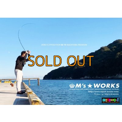 画像6: ZEROエヴォ PREMIUM　龍 708 ”景虎RV”