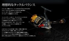 画像5: NEWカスタムバランサーtype-2 / C1（オールブラック） (5)