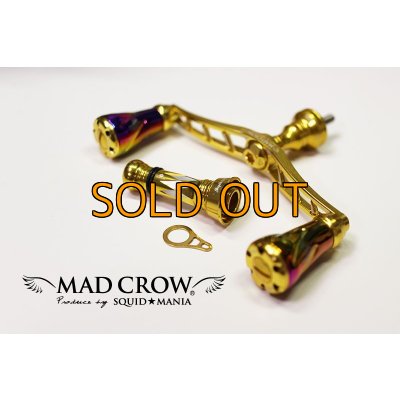 画像4: NEWカスタムバランサーtype-2 / C1（オールGOLD）