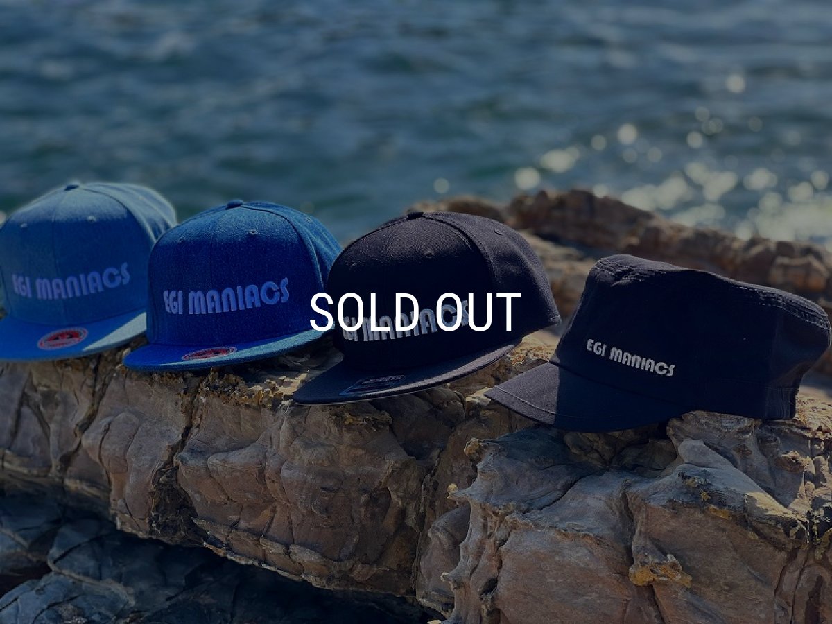 画像4: ★送料無料★エギマニ/3D刺繍デニムフラットCAP【BLUEデニム】 (4)