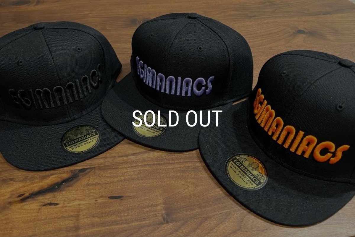 画像2: ★送料無料★エギマニ/3D刺繍OTTOフラットCAP【BLACK/BLACK】 (2)