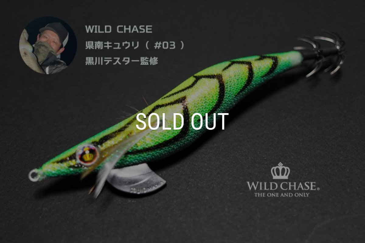 画像1: WILD CHASE 3.0号 県南キュウリ ( #03 ) [黒川テスター監修カラー] (1)