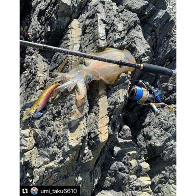 画像11: X8-PE 0.5-210m 『Sea Blue』エギマニ限定COLOR