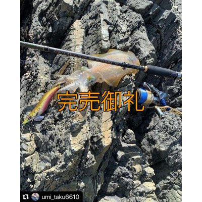 画像11: X8-PE 0.5-210m 『Sea Blue』エギマニ限定COLOR