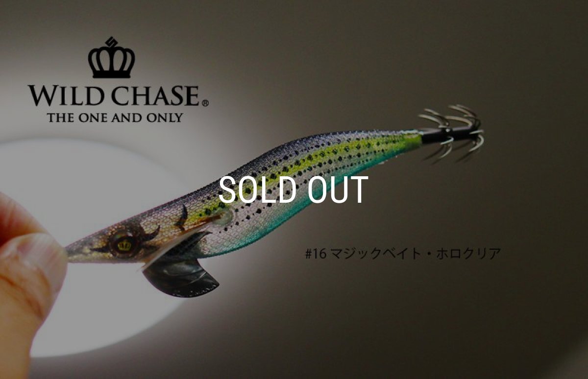 画像5: WILD CHASE 3.5号【＃13〜＃16】 (5)