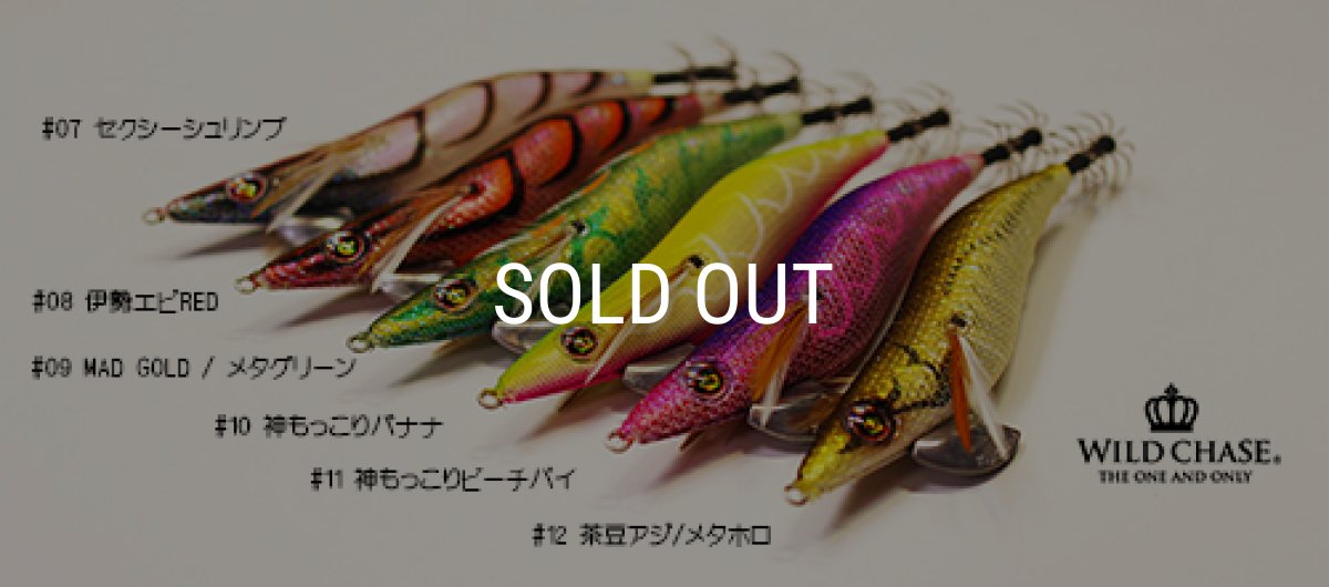画像1: WILD CHASE 3.5号【＃7〜＃12】 (1)