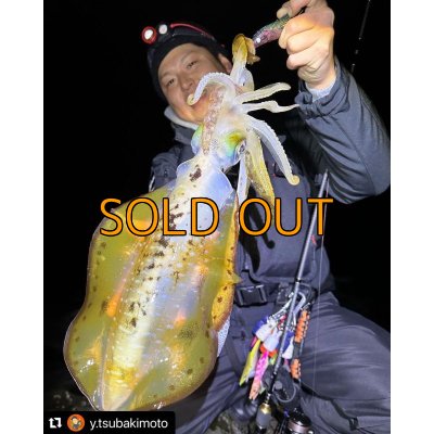 画像1: WILD CHASE 3.5号 モンスターブラック[特注:EGI MANIACS]