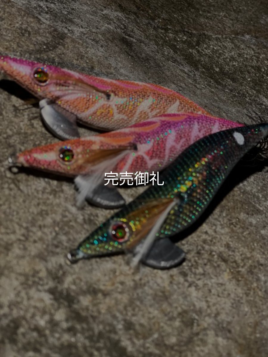 画像13: WILD CHASE 3.0号 モンスターブラック[特注:EGI MANIACS] (13)