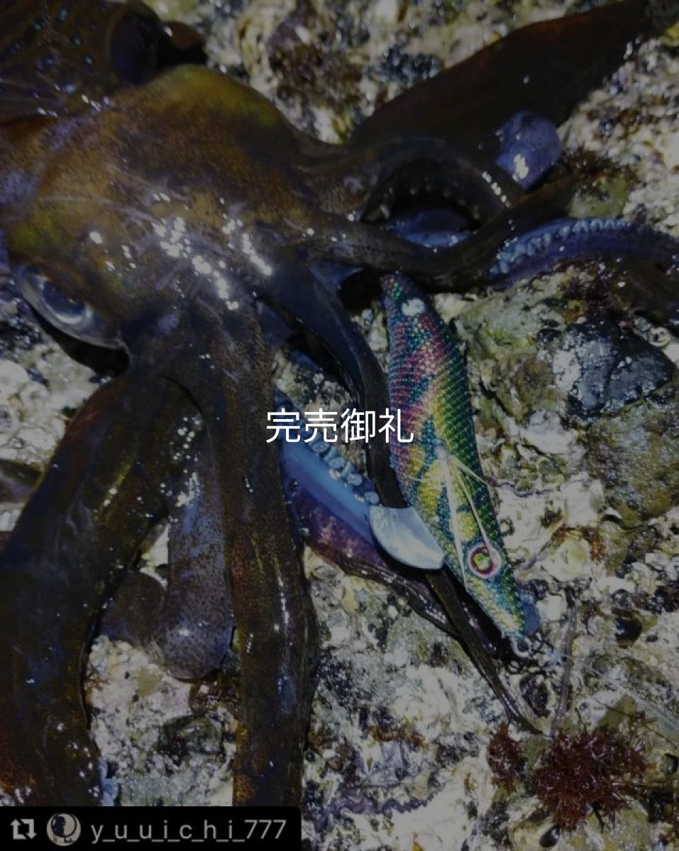 画像5: WILD CHASE 3.0号 モンスターブラック[特注:EGI MANIACS] (5)