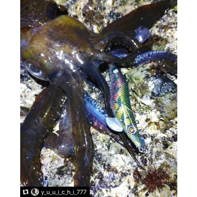 画像10: WILD CHASE 3.5号 モンスターブラック[特注:EGI MANIACS]