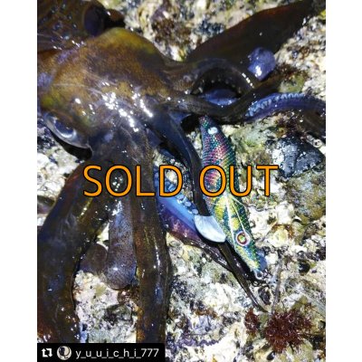 画像10: WILD CHASE 3.5号 モンスターブラック[特注:EGI MANIACS]