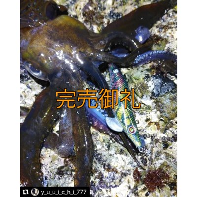 画像5: WILD CHASE 3.0号 モンスターブラック[特注:EGI MANIACS]