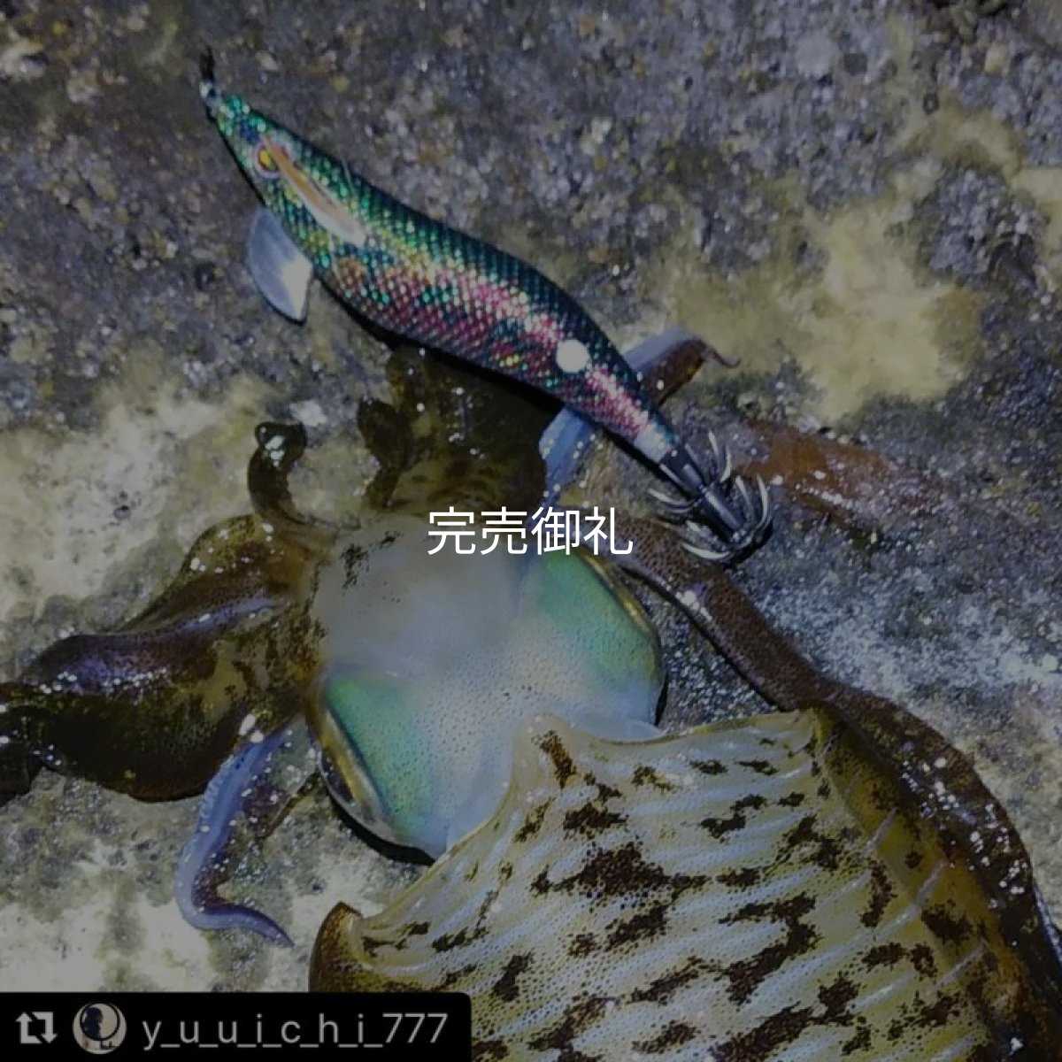 画像6: WILD CHASE 3.0号 モンスターブラック[特注:EGI MANIACS] (6)