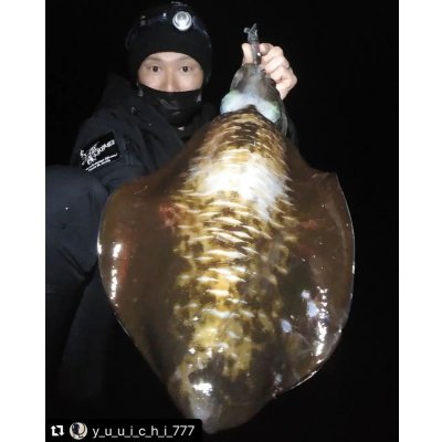 画像8: WILD CHASE 3.5号 モンスターブラック[特注:EGI MANIACS]