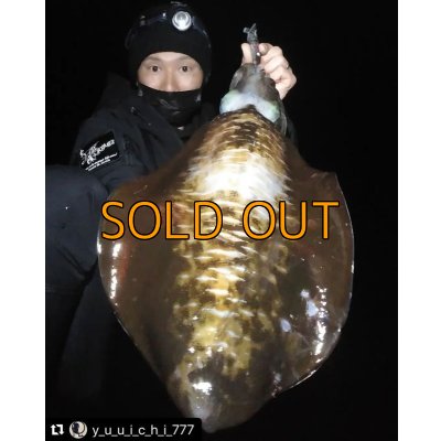 画像8: WILD CHASE 3.5号 モンスターブラック[特注:EGI MANIACS]