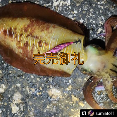 画像13: WILD CHASE 3.0号 モンスターピンク[特注:EGI MANIACS]