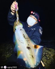 画像10: WILD CHASE 3.5号 モンスターピンク[特注:EGI MANIACS] (10)