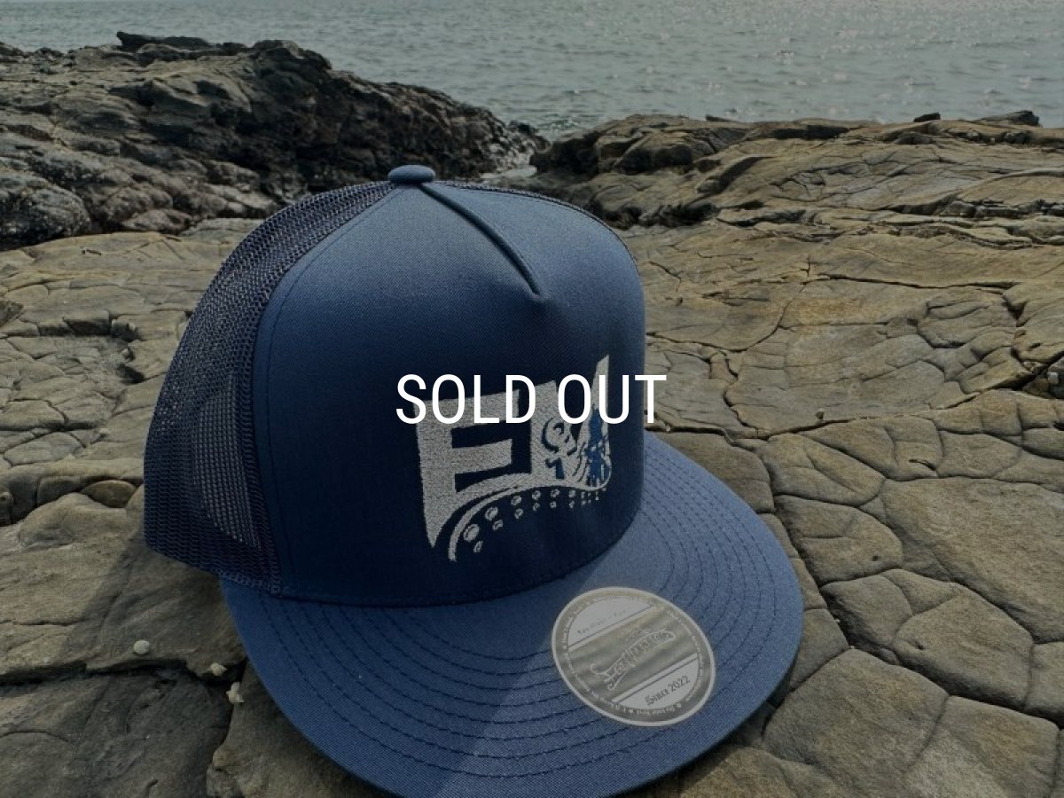 画像1: ★送料無料★エギマニ/EM刺繍スナップバックフラットメッシュCAP【NAVY/SILVER】 (1)