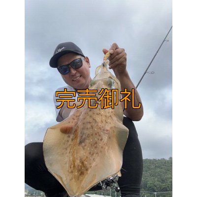 画像6: FINAL『魅黒/Blue』ZERO-G EVOLUTION GVX 706 蒼龍II EVA [別注EGI MANIACS）]