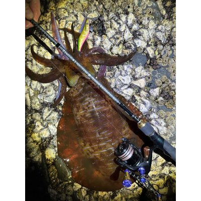 画像6: 【お試し価格】新規格 X8-PE 0.6-300m ORANGE&SMOKE SHIELD【1m-80cmSS/20cmOR】