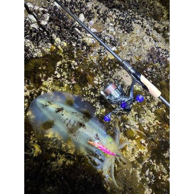 画像5: 【お試し価格】新規格 X8-PE 0.6-300m ORANGE&SMOKE SHIELD【1m-80cmSS/20cmOR】