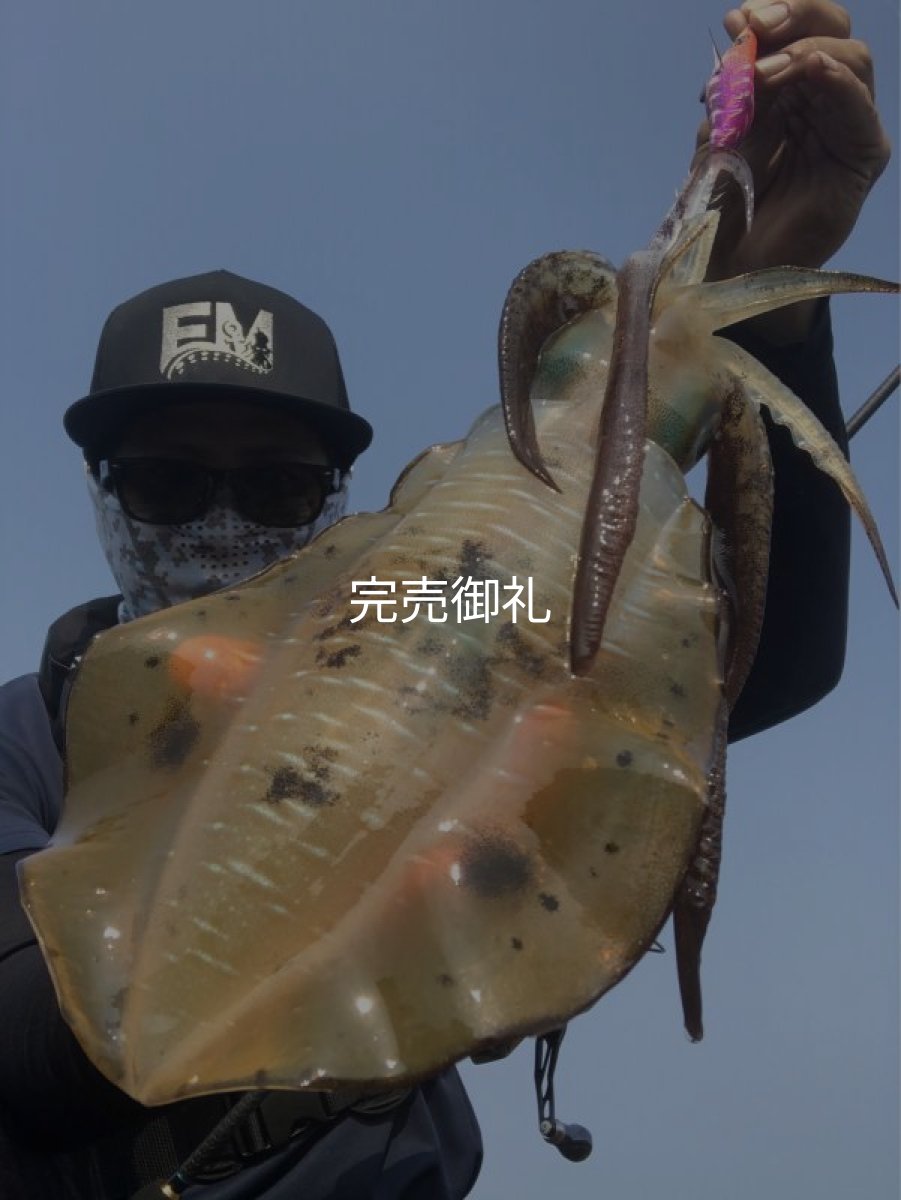 画像11: WILD CHASE 3.0号 モンスターピンク[特注:EGI MANIACS] (11)