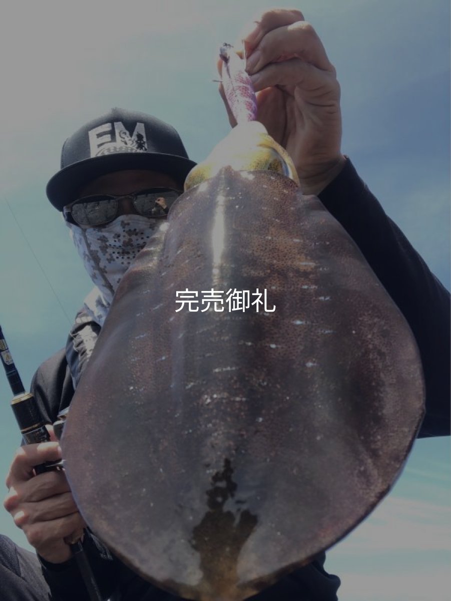 画像15: WILD CHASE 3.0号 モンスターピンク[特注:EGI MANIACS] (15)