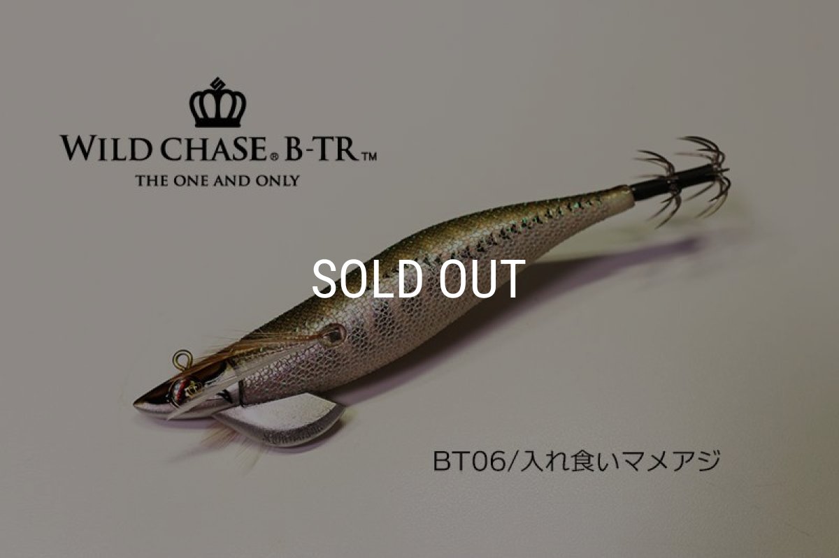 画像1: WILD CHASE/B-TR 3.5号 30ｇ/BT06/入れ食いマメアジ (1)
