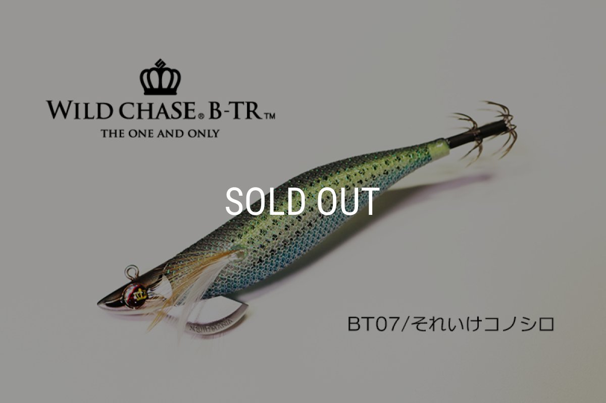 画像1: WILD CHASE/B-TR 3.5号 30ｇ/BT07/それいけコノシロ(UV) (1)