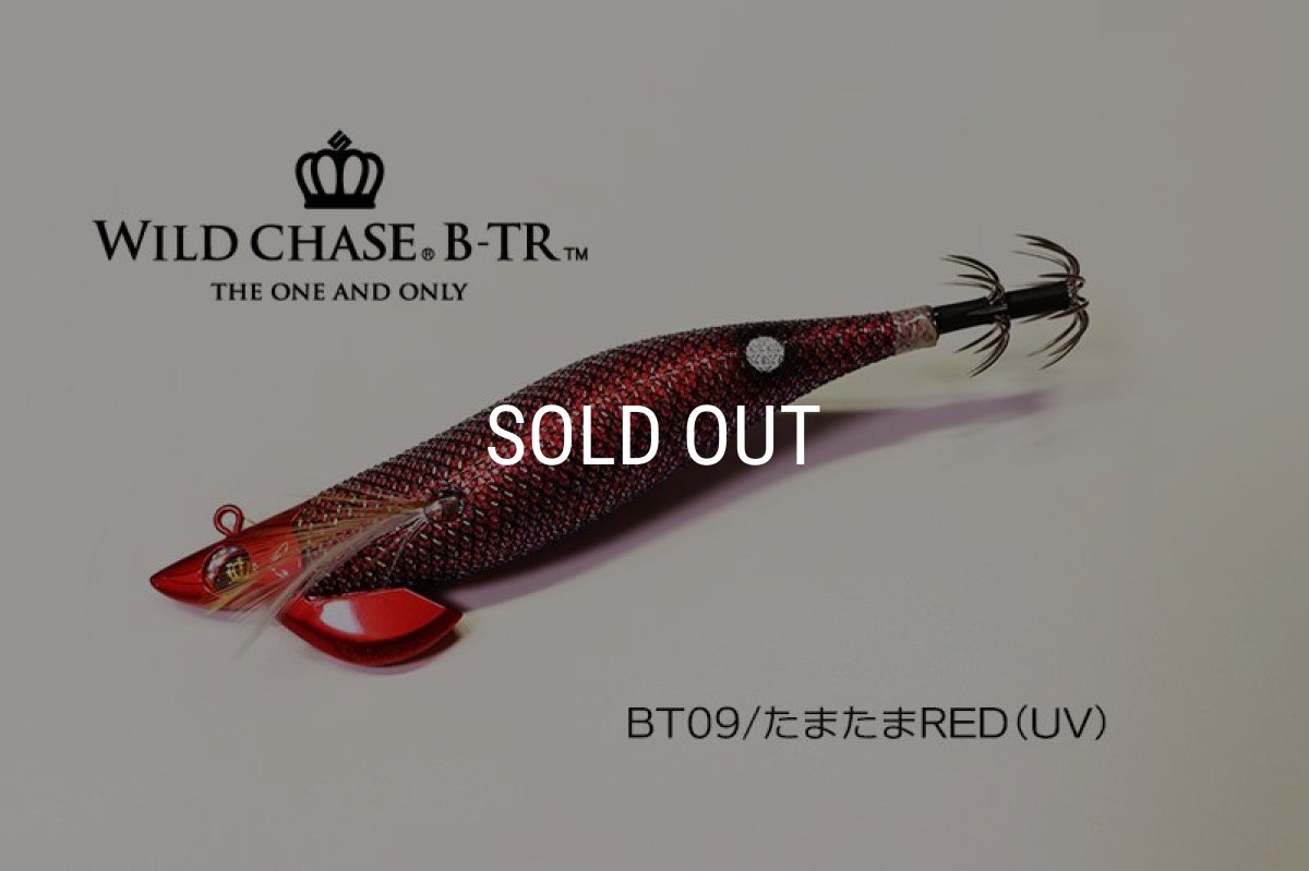 画像1: WILD CHASE/B-TR 3.5号 30ｇ/BT09/たまたまRED(UV) (1)