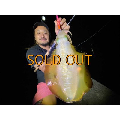 画像9: WILDCHASE 3.5号シャローtune / モンスターオレンジ[特注:EGI MANIACS]