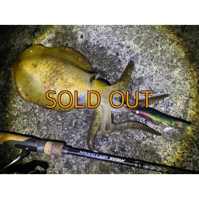 画像8: WILD CHASE 3.5号RT(ラトル) モンスターブラック[特注:EGI MANIACS]