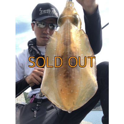 画像3: WILD CHASE 3.5号RT(ラトル) モンスターブラック[特注:EGI MANIACS]