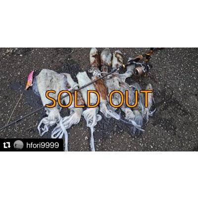 画像12: WILDCHASE 3.5号シャローtune / モンスターピンク[特注:EGI MANIACS]