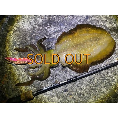 画像17: WILDCHASE 3.5号シャローtune / モンスターオレンジ[特注:EGI MANIACS]