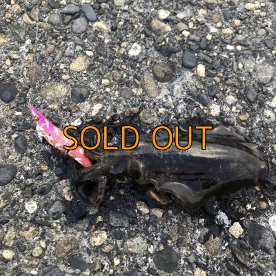 画像19: WILDCHASE 3.5号シャローtune / モンスターオレンジ[特注:EGI MANIACS]