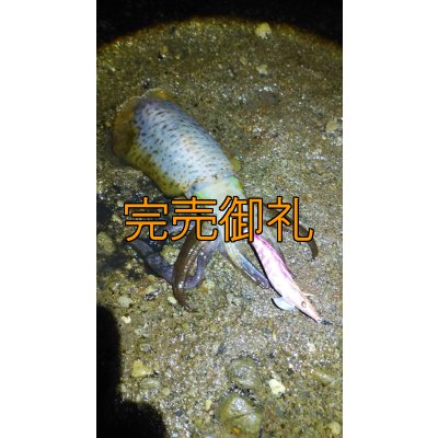 画像6: WILD CHASE 3.5号RT(ラトル)  モンスターピンク[特注:EGI MANIACS]