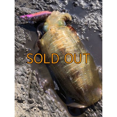 画像21: WILDCHASE 3.5号シャローtune / モンスターオレンジ[特注:EGI MANIACS]