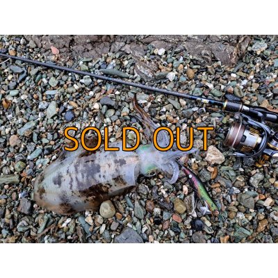 画像10: WILD CHASE 3.5号RT(ラトル) モンスターブラック[特注:EGI MANIACS]