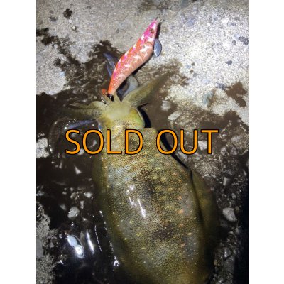 画像15: WILDCHASE 3.5号シャローtune / モンスターオレンジ[特注:EGI MANIACS]