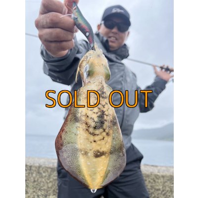 画像4: WILD CHASE 3.5号RT(ラトル) モンスターブラック[特注:EGI MANIACS]